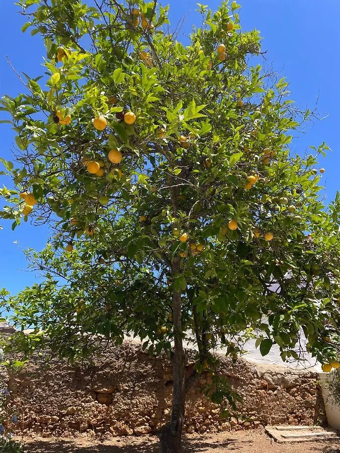 Quinta Da Layla Villa Olhao 0*,  Portugal
