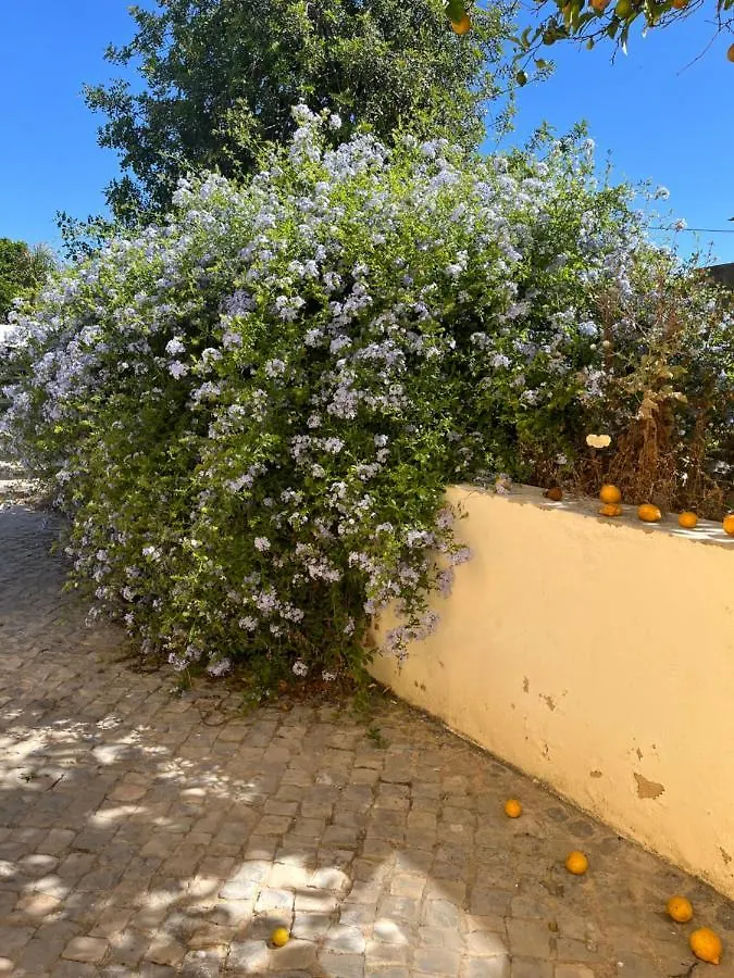 Quinta Da Layla Villa Olhao